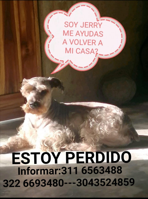 Jerry