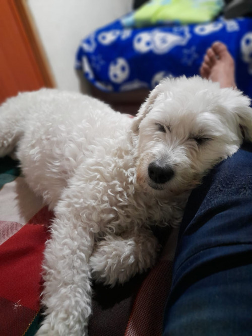 Luna