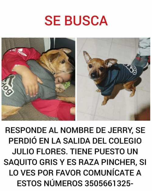 Jerry