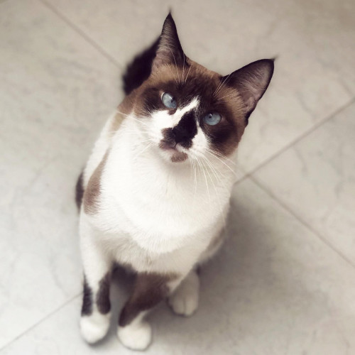 Emma 