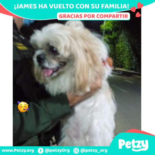 Foto de mascota James 