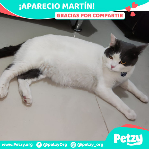 Foto de mascota Martín