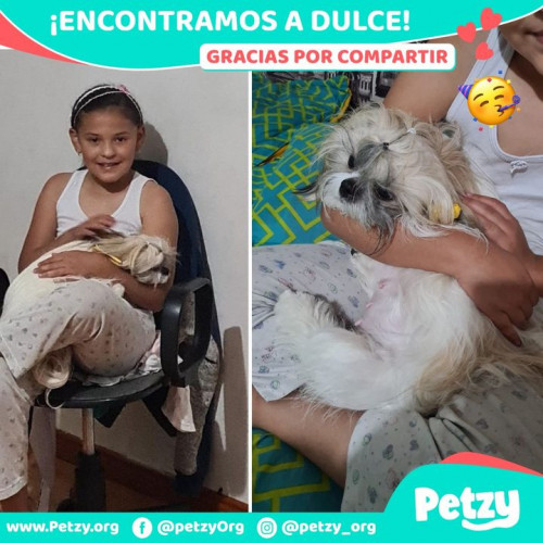 Foto de mascota Dulce