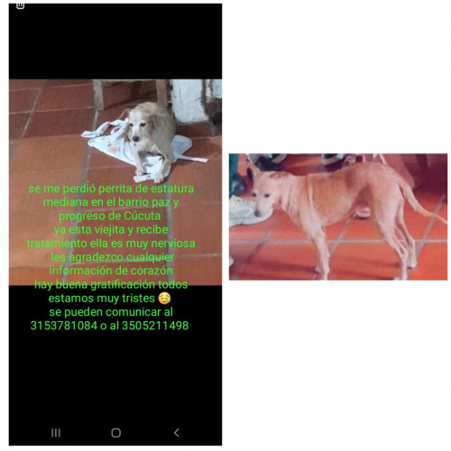 Princesa