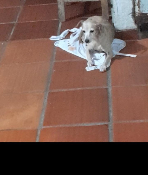 Princesa