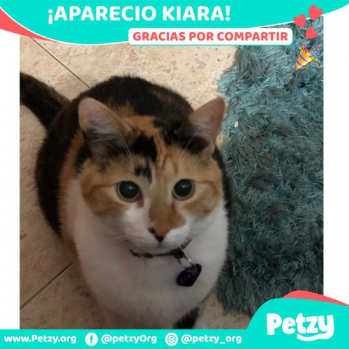 Foto de mascota Kiara