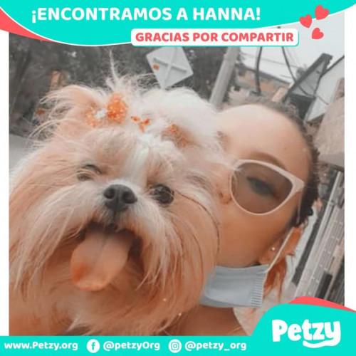 Foto de mascota Hanna