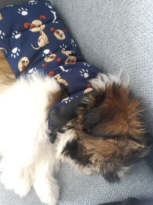 Jaku