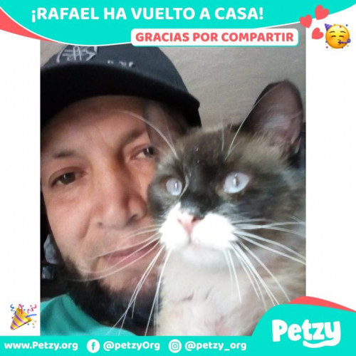 Foto de mascota Rafael