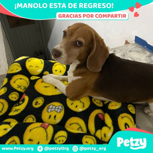 Foto de mascota Manolo