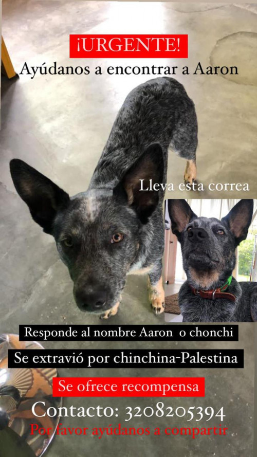 Aron