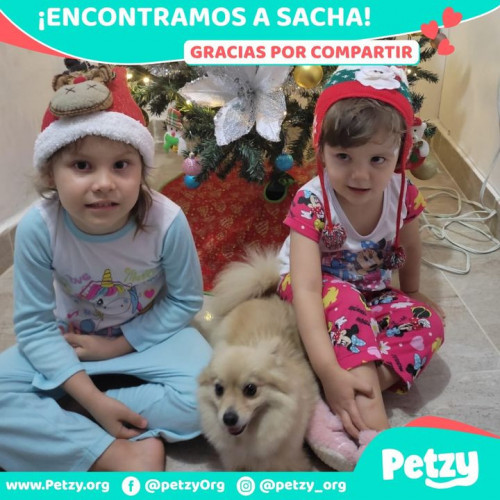 Foto de mascota Sacha