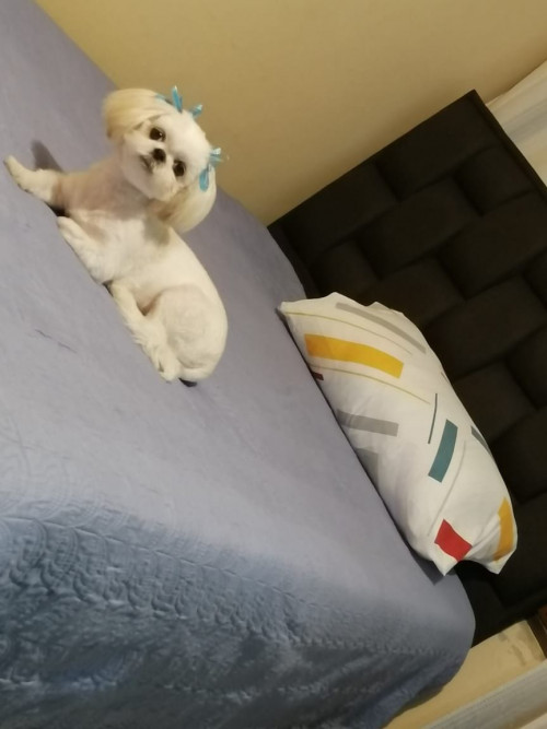 Mía