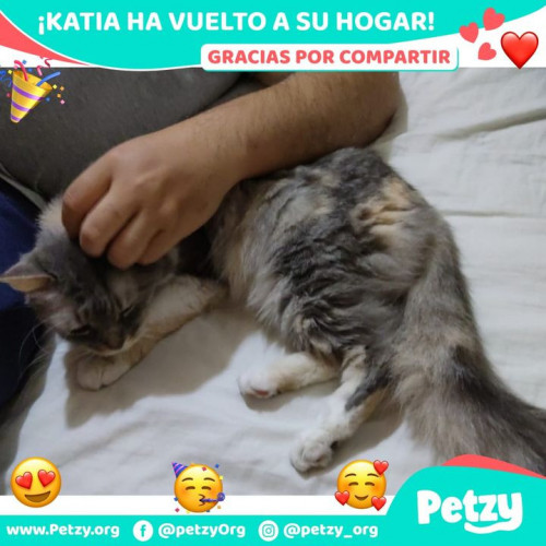 Foto de mascota Katia