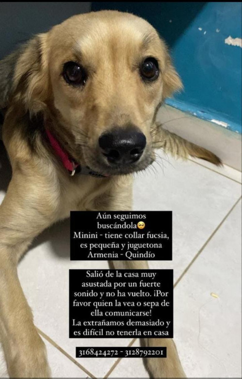 Minini
