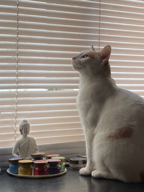 Venus