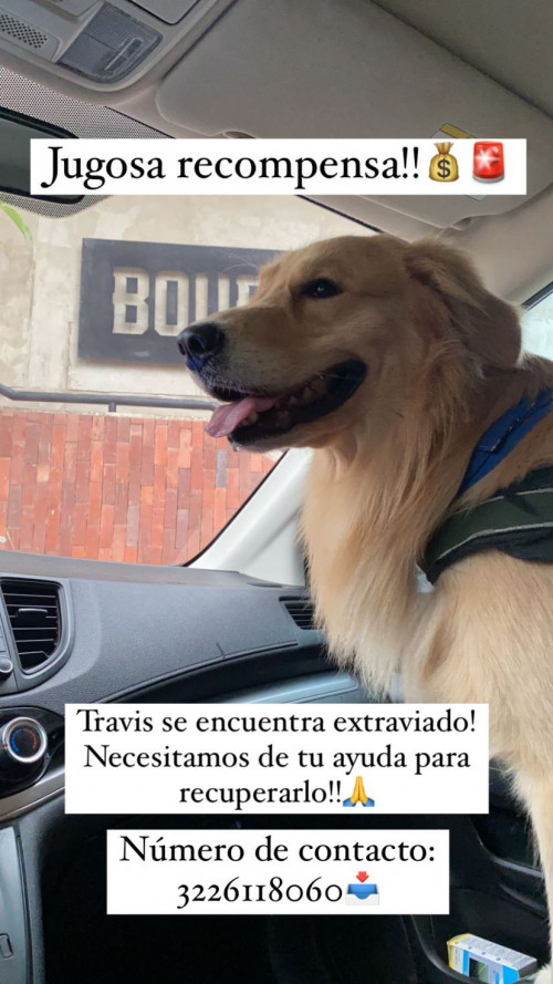 Travis