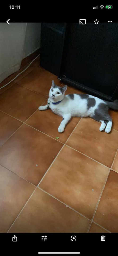 Max