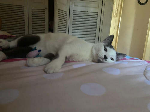 Max