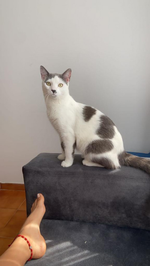 Max