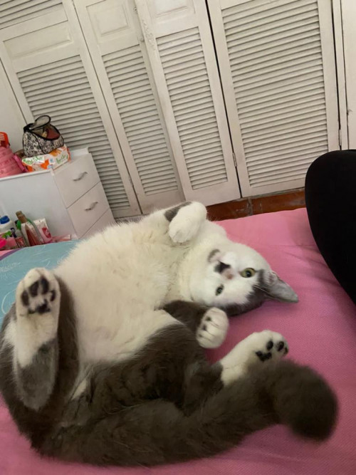 Max