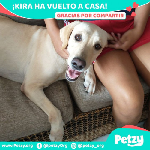 Foto de mascota Kira