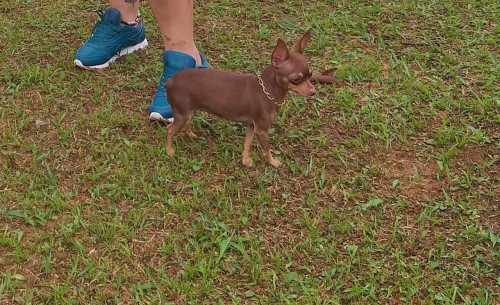 Kissi