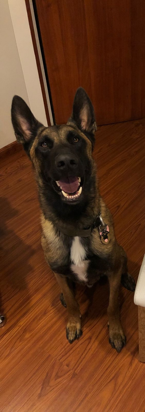 Max