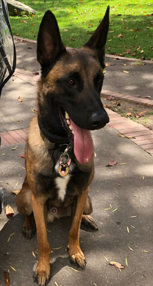 Max
