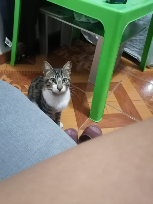 Natsu