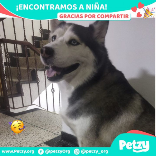 Foto de mascota Niña