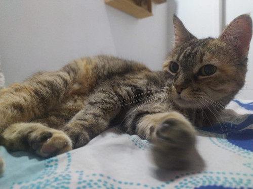 Samantha