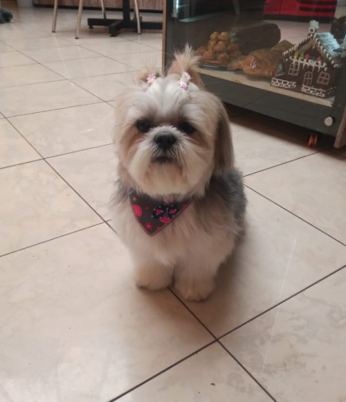 Luna
