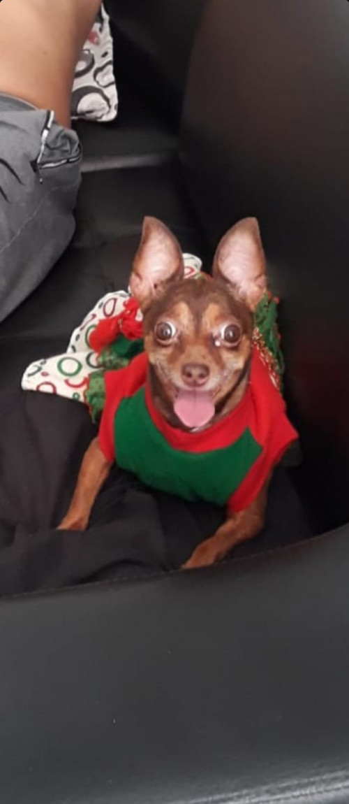 Niña