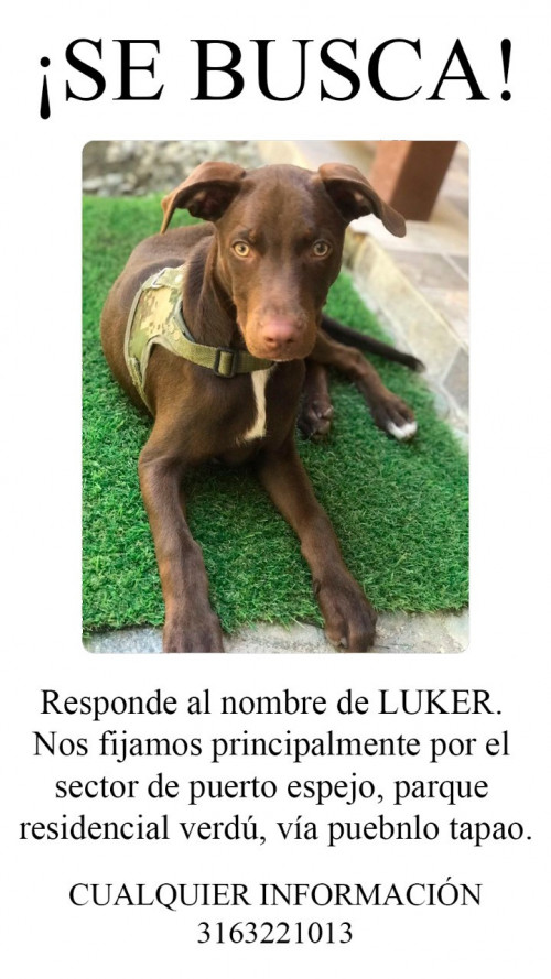 Luker