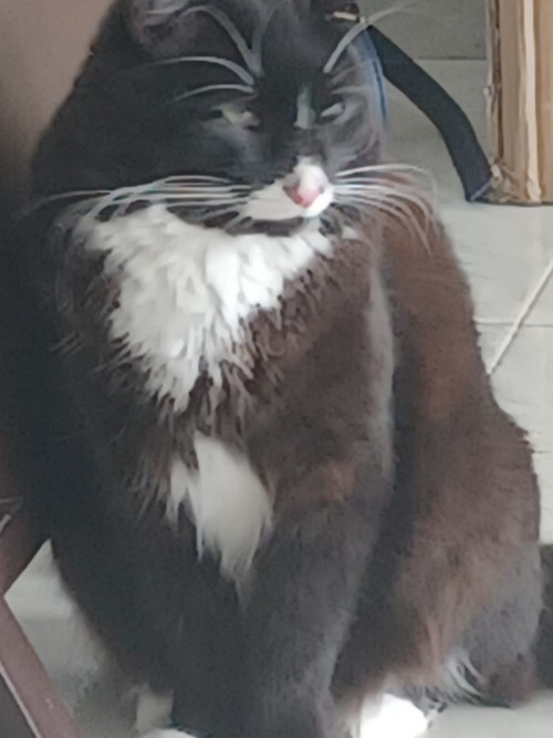 Lukitas