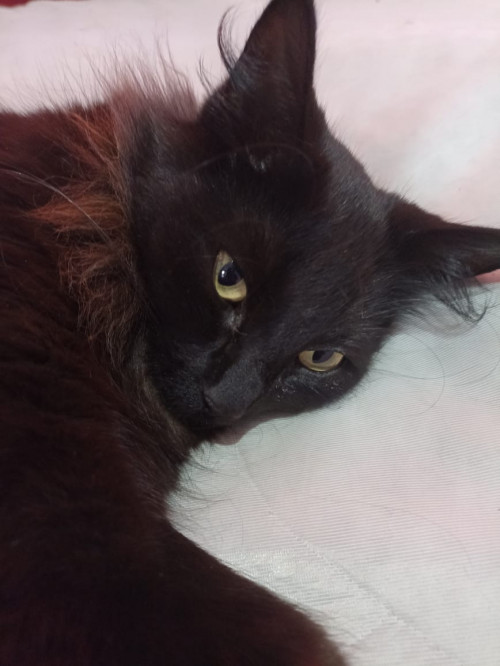 Lupita