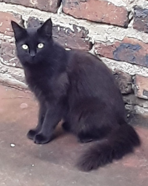 Lupita