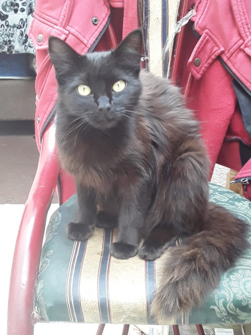 Lupita