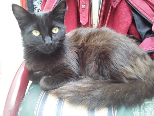Lupita