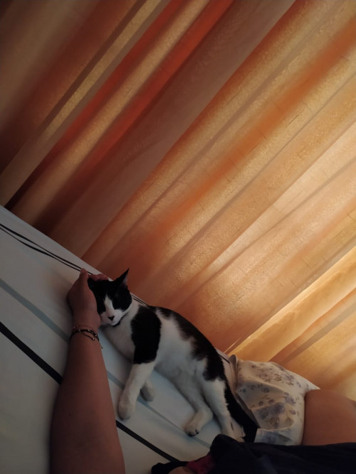 Ciela