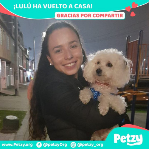 Foto de mascota Lulú