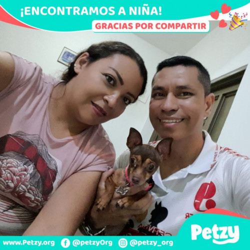 Foto de mascota Niña