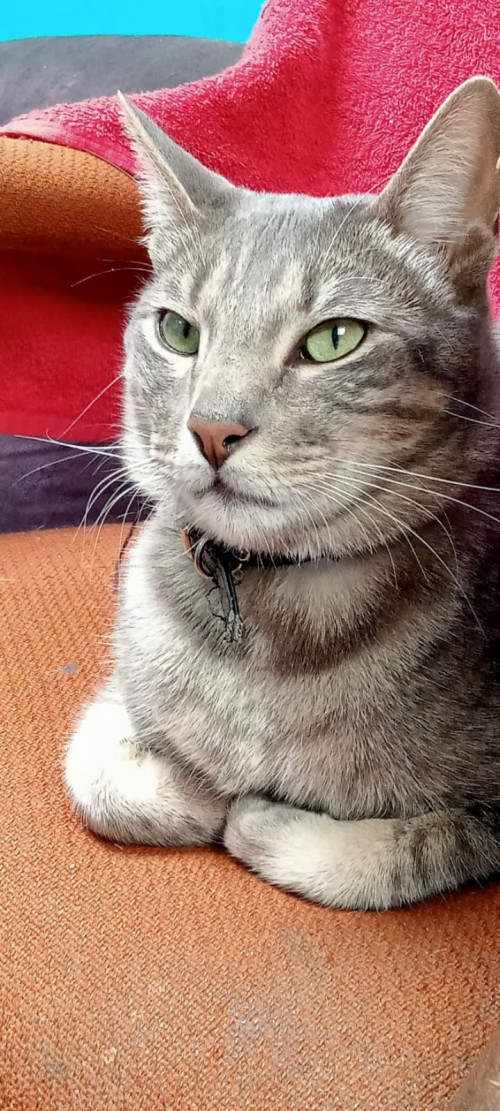 Sam