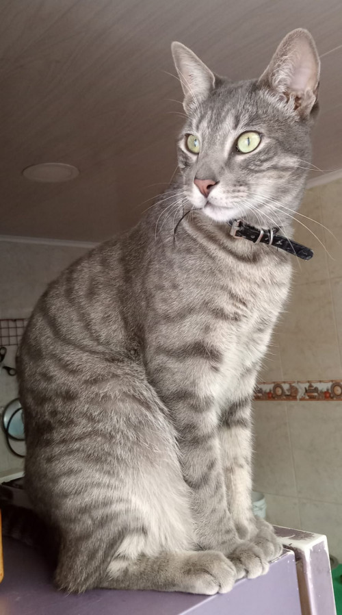 Sam