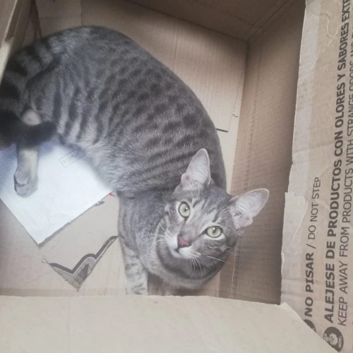 Sam