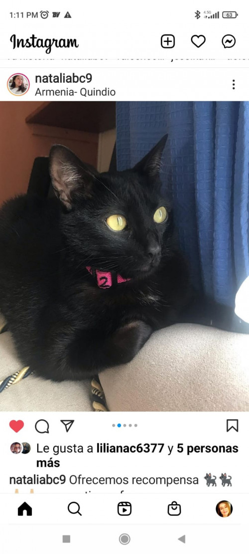 Nova
