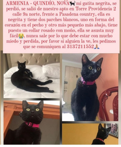 Nova