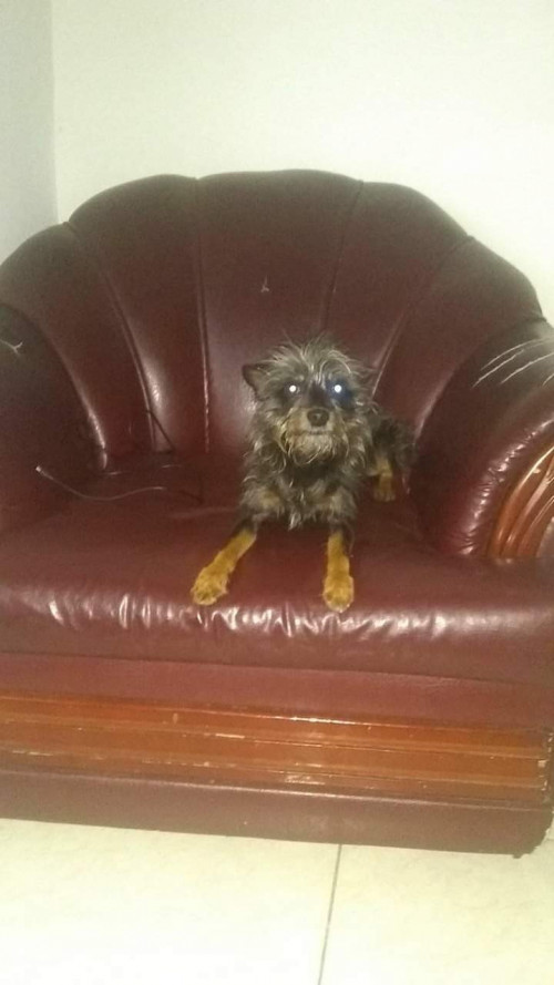 Rocky