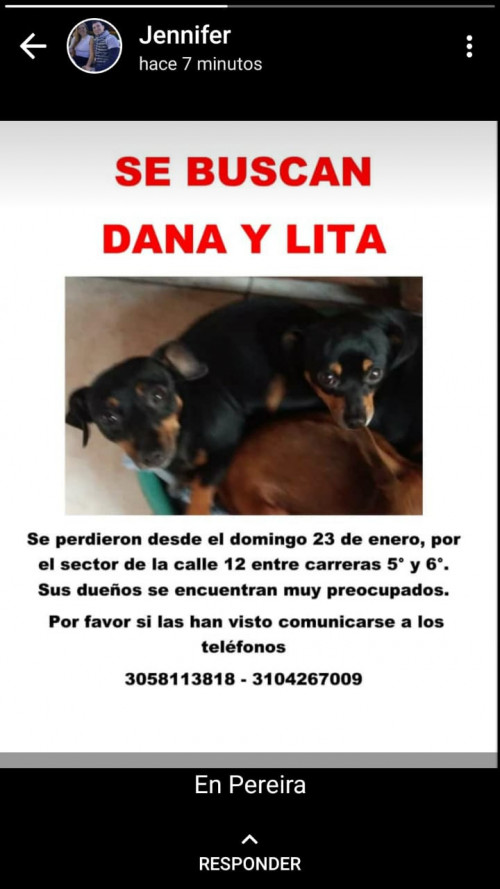 Dana Y Lita